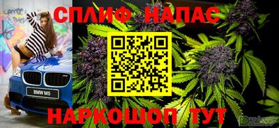 спайс Обь