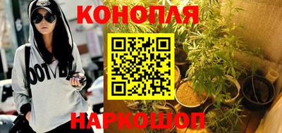спайс Обь